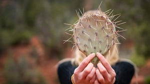 Blog-Sentiment-Analyse